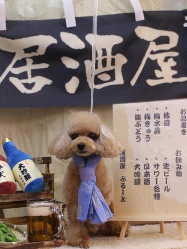 20240613ココちゃん